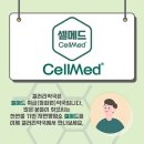 가까운천사약국 | 언주역 약국 후기 좋은곳 추천 6곳, 열린 약국, 토요일, 일요일, 공휴일, 심야