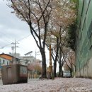 한국전력 함안지점 이미지