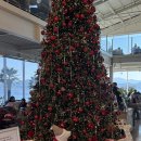 창포마을회관 | 통영 대형카페 아르세 애견동반 가능한 카페 다녀온 후기