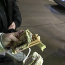서부대성로 227번길 7-1 | 너는 우주를 전혀 모르는데, 어떻게 우주를 넘어서는 걸까.