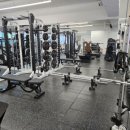 파인드 미 짐 이미지