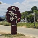 댕댕이 머리하는 날 이미지