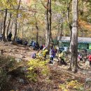 지리산 단풍비 이미지