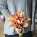 (주)호텔인터불고원주 이미지