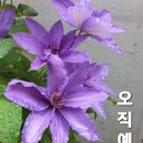 옛 동독의 교훈 이미지