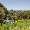 이 작은 섬을 매년 100만 명이 찾는다고" 유람선 타고 들어가는 거제의 보석 이미지