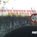 가중1리 이미지