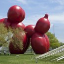 Art Dog(아트독) 이미지