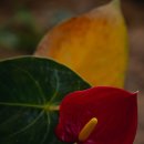 산림조합화장실 이미지