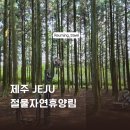 절물자연휴양림 | 제주도 절물자연휴양림 힐링 산책코스 후기! 자연 속에서 힐링하고 싶은 분께 추천