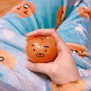라이언