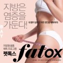뷰티펫# 이미지