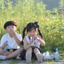 밀밭식당 이미지