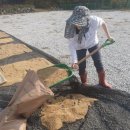 윤영농장 이미지