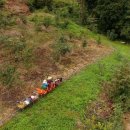 산골보리밥 이미지