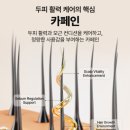 탈모샴푸 추천/ 비어가는 정수리 고민? 더 레드카펫 르 베르 샴푸로 두피 활력 솔루션!
