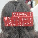 해르헤어