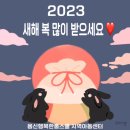 23년 설날 프로그램 이미지