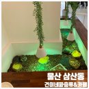 건이네 농장 | [건이네 파충류&amp;카페] 울산 삼산동 파충류샵/이색카페 방문기🦎