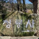 청룡사 등산로 이미지