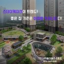 에스에스컨설팅 이미지