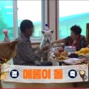 메리랑 메롱이네 이미지