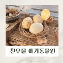 찬우물로 | [일산]찬우물 아기동물원 동물먹이주기체험 다녀온 후기