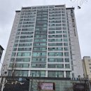 효성 | 종로예물 효성주얼리시티 드오르제이 방문후기