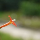 행복떡방아간 이미지