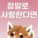 현리동물병원 이미지