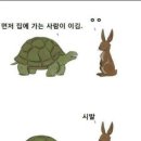 토끼와거북이 이미지