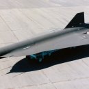Blackbird 이미지