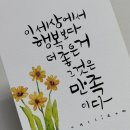 동짓날 이미지