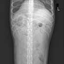 덕소동물병원 이미지