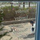 그리고케이크 이미지