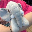 코끼리 게임장 이미지