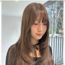 도쿄헤어미용실 | 레이어드컷 염색이 만족스러운 동해미용실 헤어도쿄 내돈내산 후기