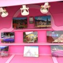 허브아일랜드 아테네홀 | 포천 허브아일랜드 핑크 뮬리 명소 10월 가족여행