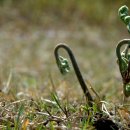 만성목장 이미지