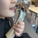 재호야 | [남양주/맛집] 남양주 갈비탕 맛집 찾았다 재호갈비탕