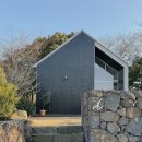 스테이만디 이미지