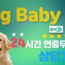 퓨어DOG 이미지