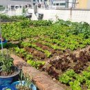 행복한실버홈 이미지