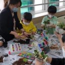 문백초등학교 이미지