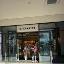코치 Coach 김포 현대프리미엄 아울렛 쇼핑 후기