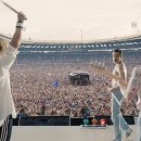 보헤미안별 이미지