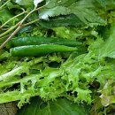 골프스토리 이미지