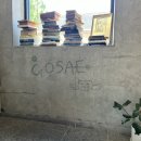 고새 | [창원 가로수길 카페] GOSAE , 감성 가득한 고새 카페 내돈내산 후기