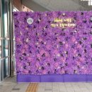 설악면종합복지회관 이미지