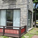 페트리코 | 용인도자기공방 라엘페트리코 분당도자기공방